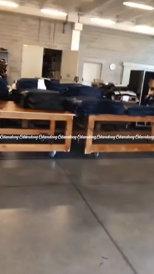 acacf88c696f6a9ecba43865b3fdcb5a_1743074080_7058.gif acacf88c696f6a9ecba43865b3fdcb5a_1743074080_7058.gif