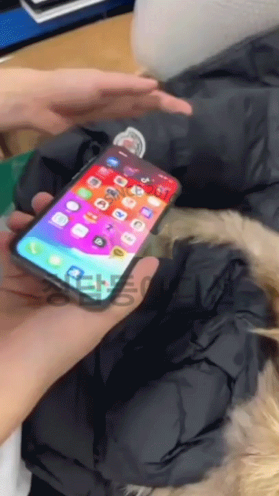 f4dabb5b12715748c73e53b7b83c25ef_1761824337_0446.gif f4dabb5b12715748c73e53b7b83c25ef_1761824337_0446.gif