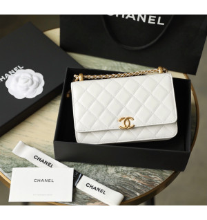 샤넬 플랩 WOC백 (하이엔드급)