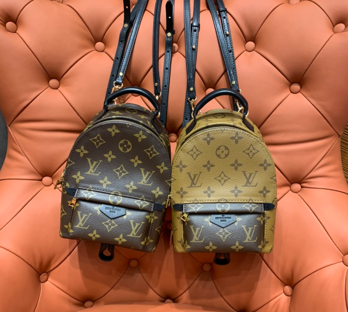 루이비통 팜스프링 백팩 미니 M44873 / M44872