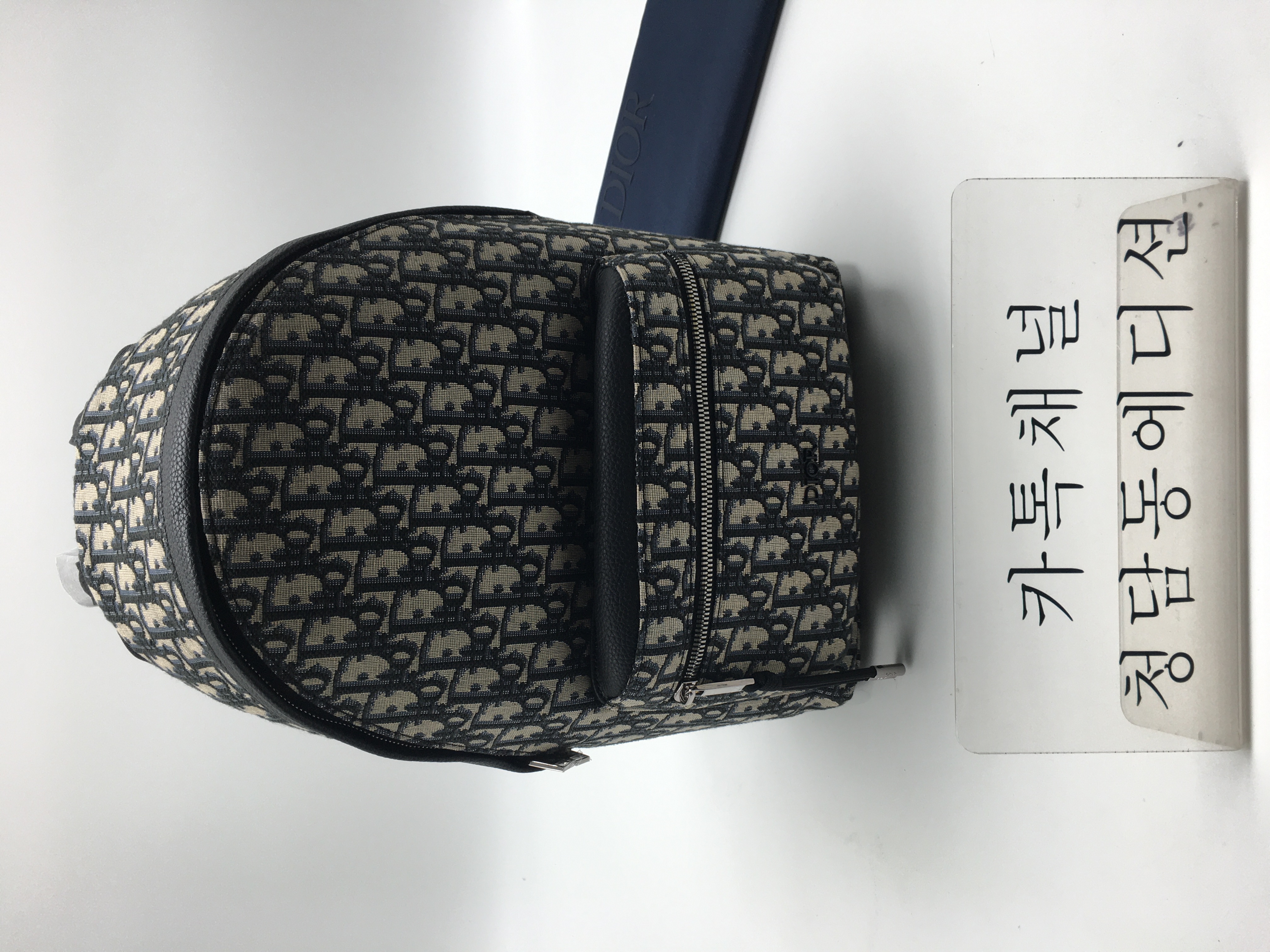 디올 RIDER 오블리크 백팩