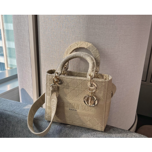 디올 레이디 D LITE 백 미디움