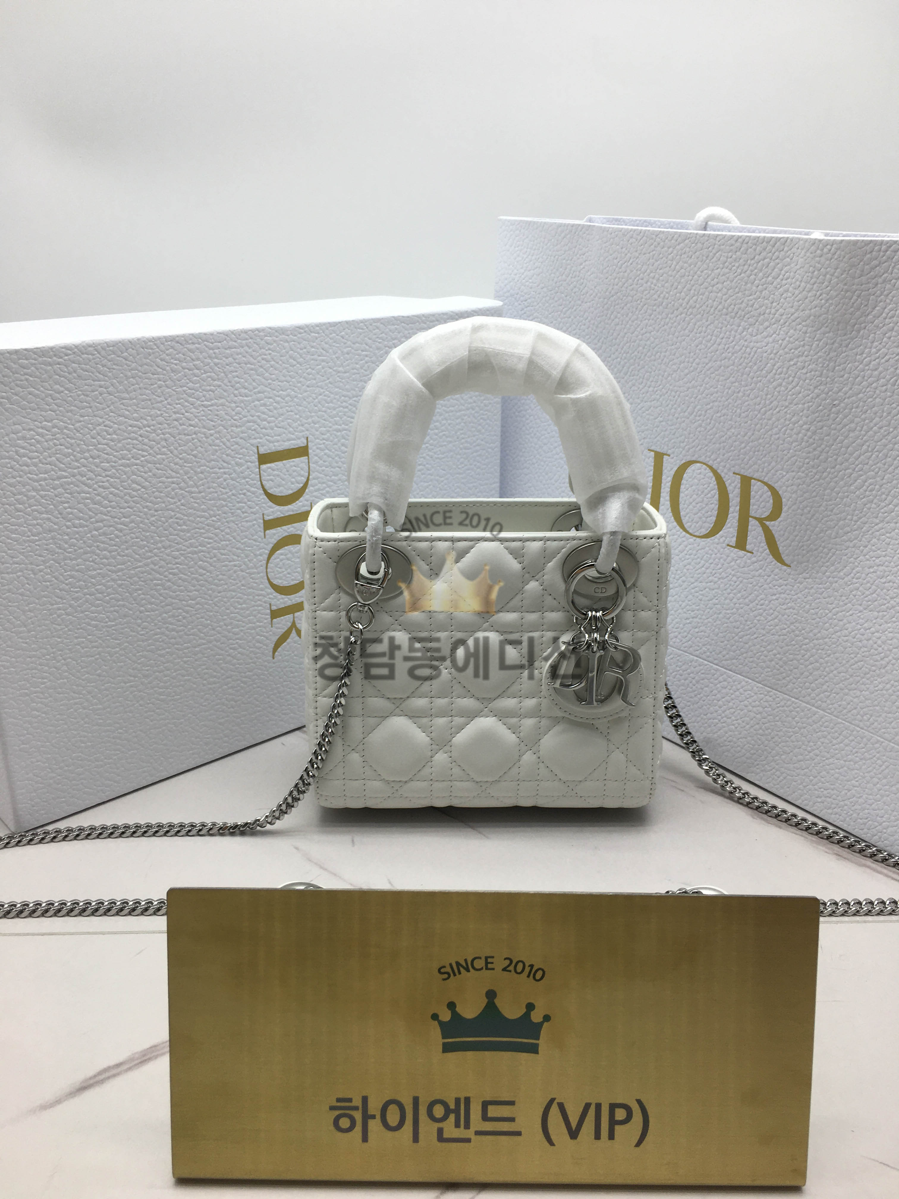 디올 레이디백 미니 (램스킨)