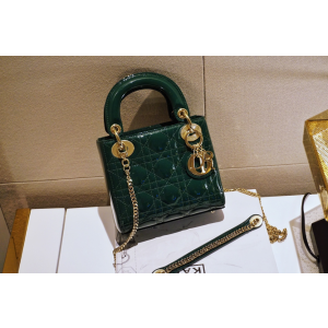 디올 레이디백 미니 (카프스킨)