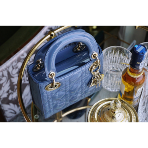 디올 레이디백 미니 (카프스킨)