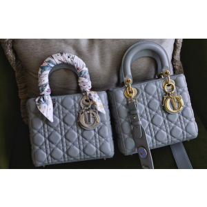 디올 레이디백 스몰 (램스킨) (upgrade ver.)