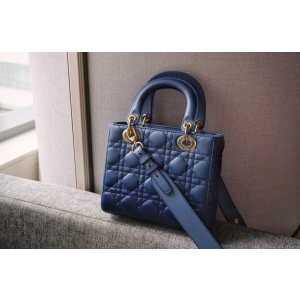 디올 레이디백 스몰 (램스킨) (upgrade ver.)