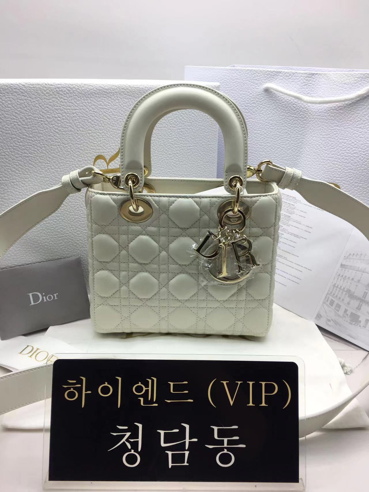 디올 레이디백 스몰 (램스킨) (upgrade ver.)