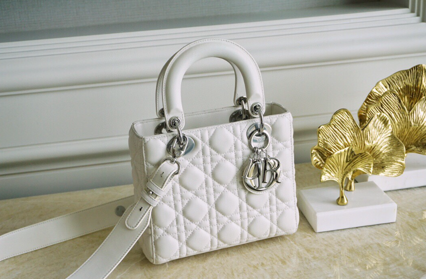 디올 레이디백 스몰 (램스킨) (upgrade ver.)