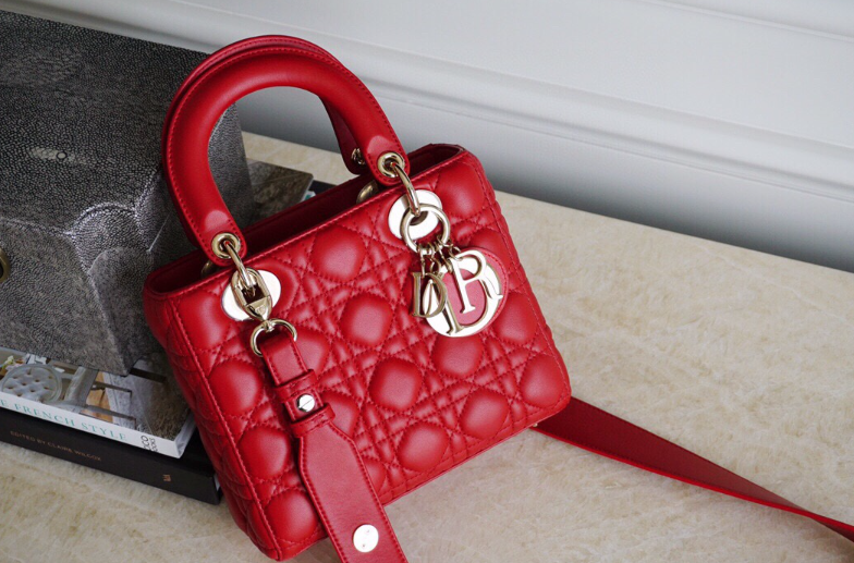 디올 레이디백 스몰 (램스킨) (upgrade ver.)
