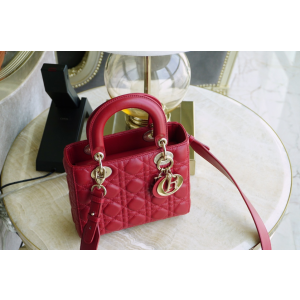 디올 레이디백 스몰 (램스킨) (upgrade ver.)