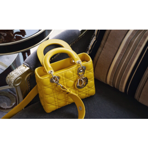 디올 레이디백 스몰 (램스킨) (upgrade ver.)