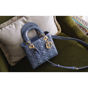 디올 레이디백 스몰 (카프스킨) (upgrade ver.)