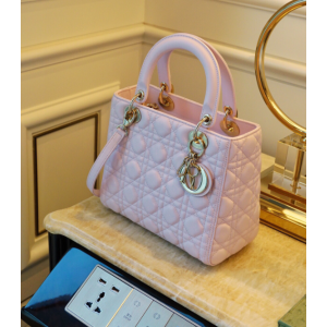 디올 레이디백 미디움 (램스킨)