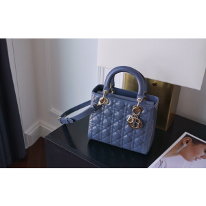 디올 레이디백 미디움 (카프스킨)