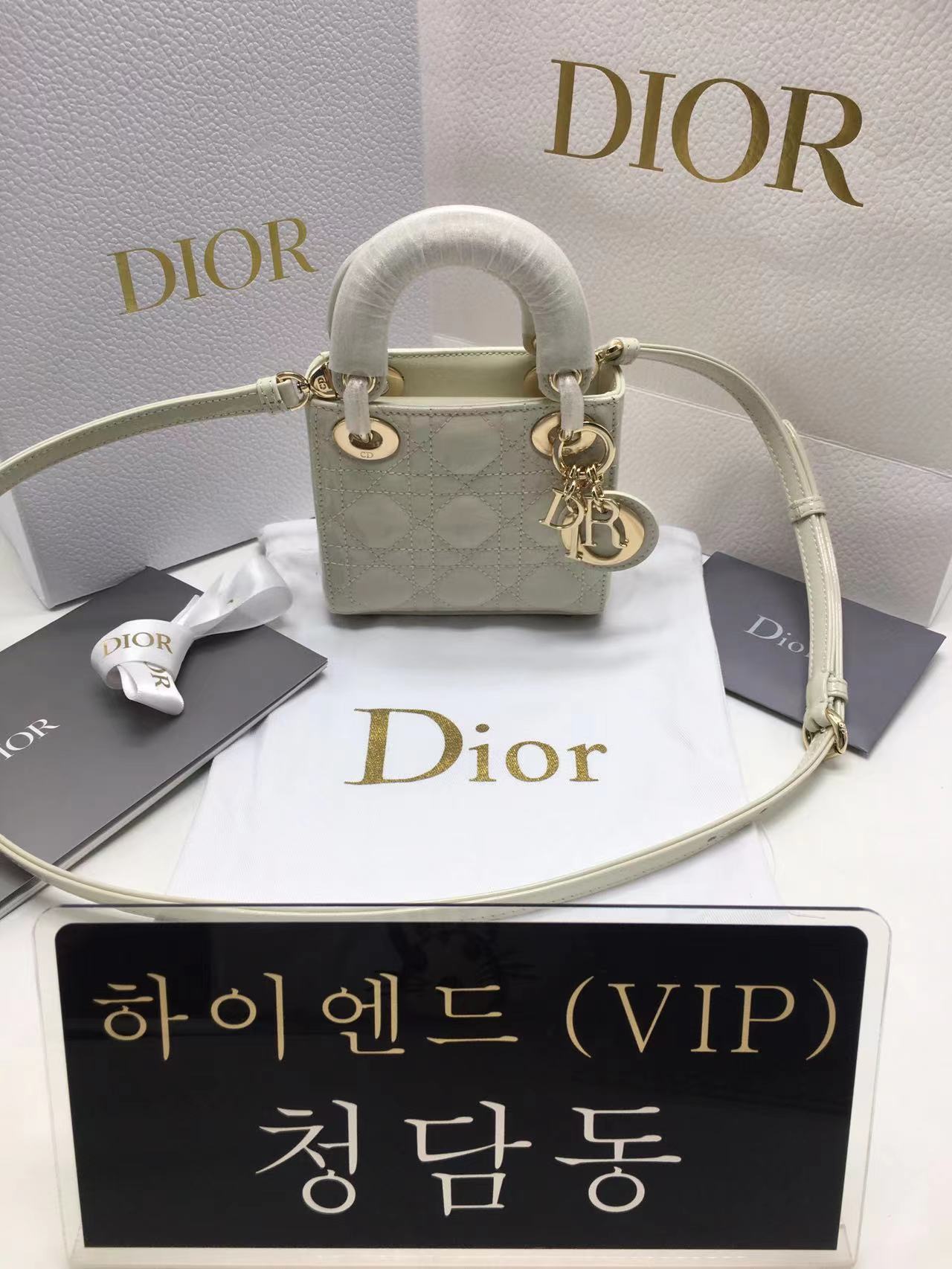 디올 레이디백 페이던트 마이크로