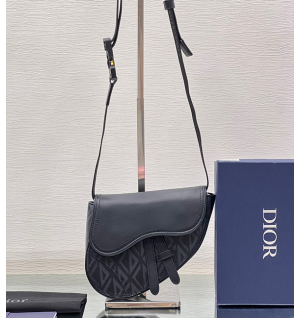 디올 새들백 미니