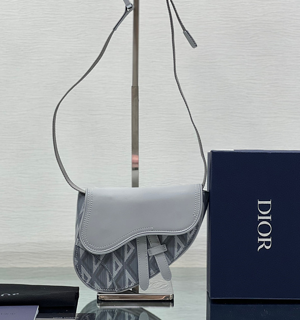 디올 새들백 미니