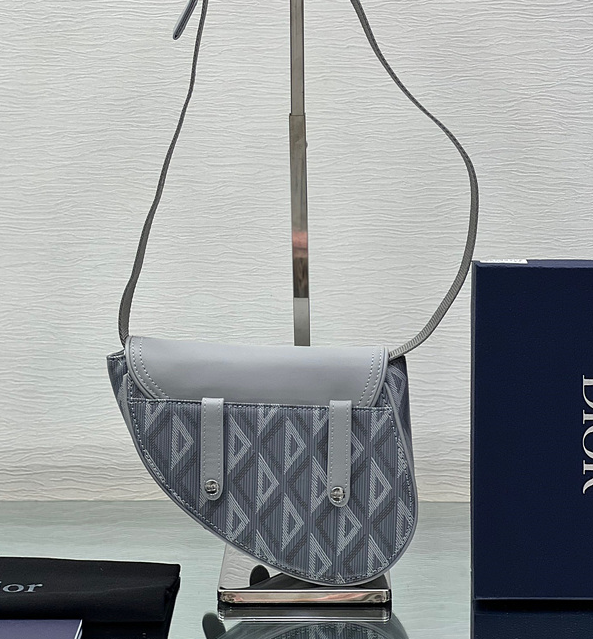 디올 새들백 미니