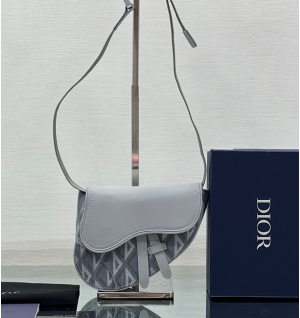 디올 새들백 미니