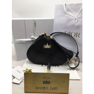 디올 새들백 미디움