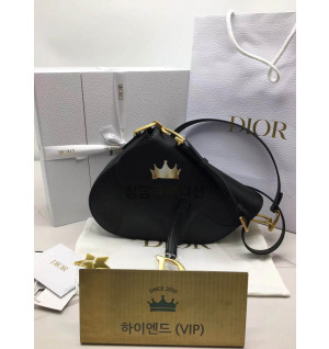 디올 새들백 미디움