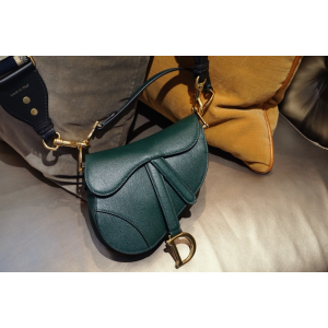 디올 새들백 미니