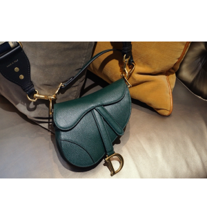 디올 새들백 미니