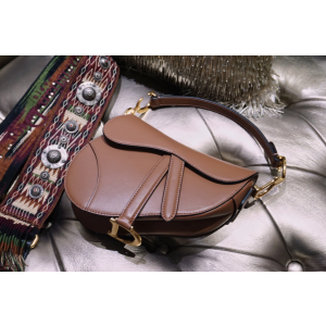 디올 새들백 미니