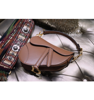 디올 새들백 미니