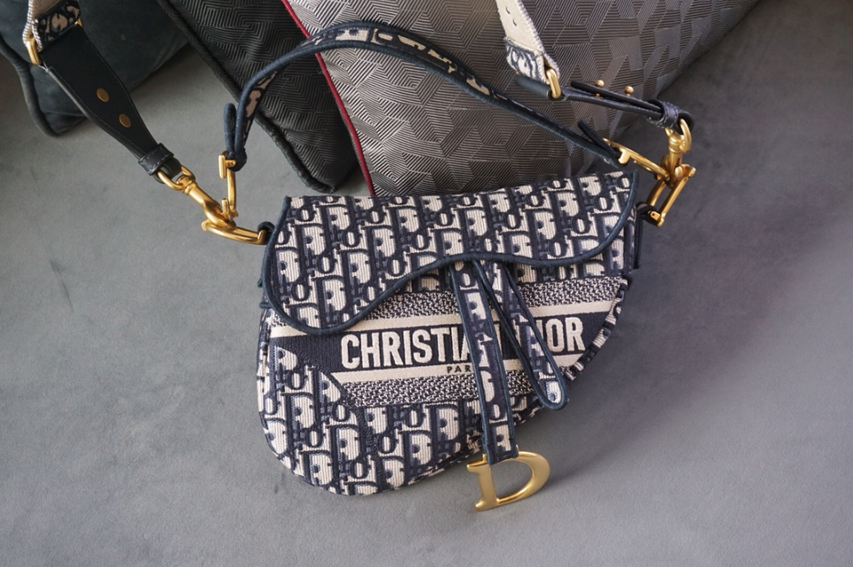 디올 오블리크 새들백