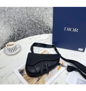 디올 갤럭시 새들백 미니