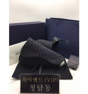 디올 오블리크 새들백 스몰