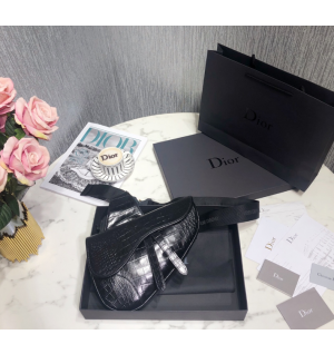 디올 크로커다일 새들백 스몰