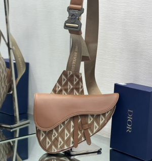 디올 다이아몬드 CD 새들백 스몰