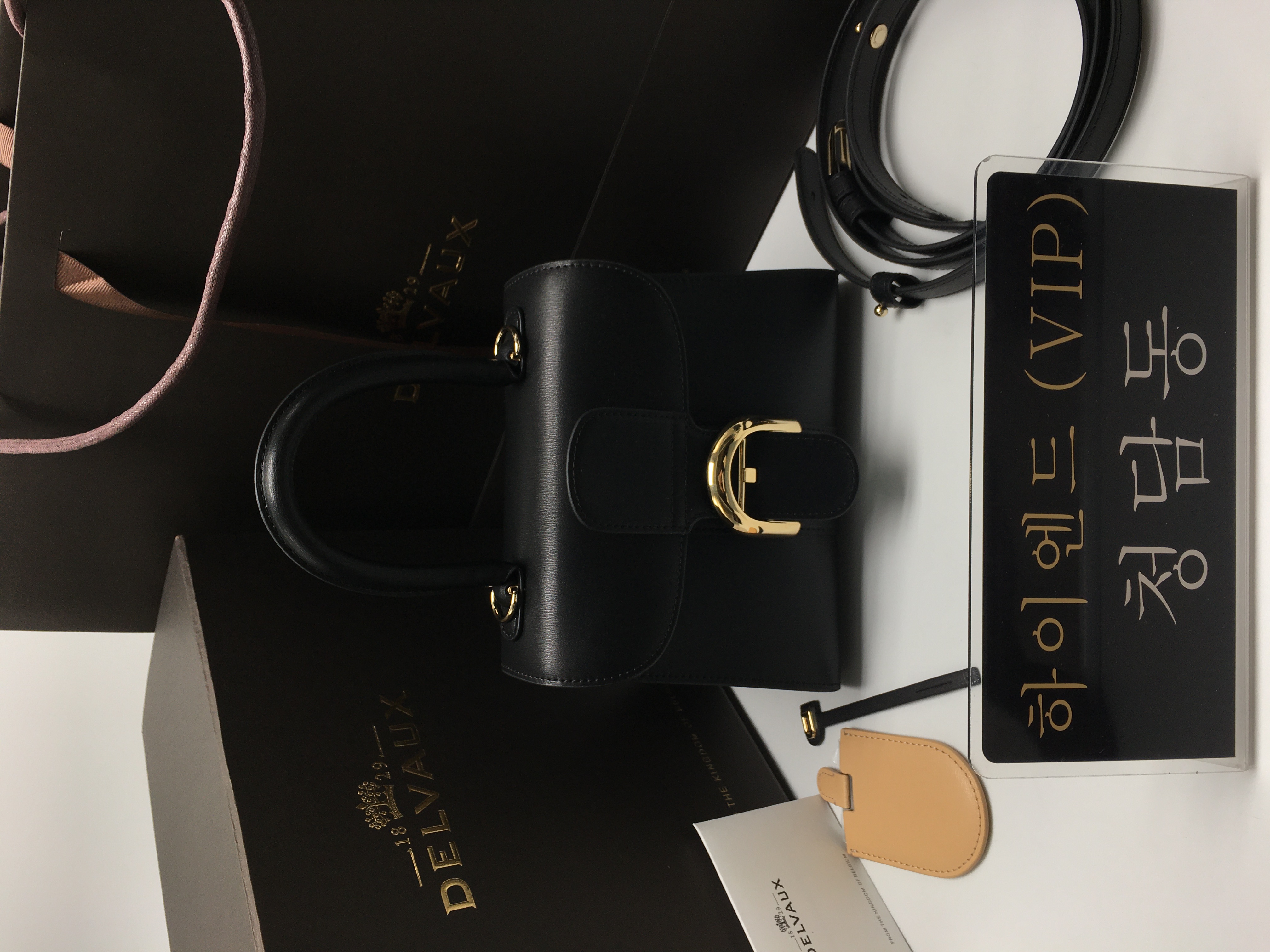 델보 브리앙 미니/PM (금장/은장)