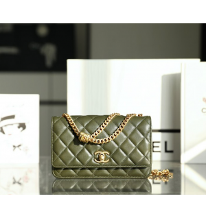 샤넬 22K WOC 숄더백 (하이엔드급)