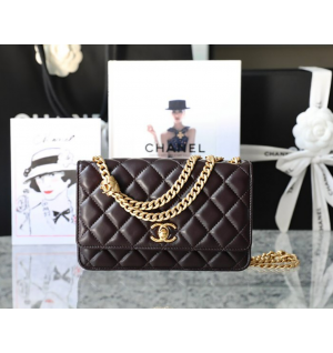 샤넬 22K WOC 숄더백 (하이엔드급)