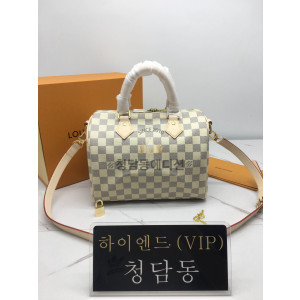 루이비통 스피디 다미에 아주르 25 N41374