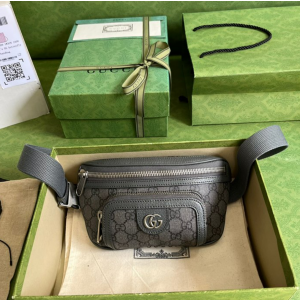 구찌 GG 오피디아 벨트백 733868