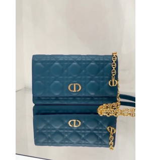 디올 카로 WOC 벨트 파우치