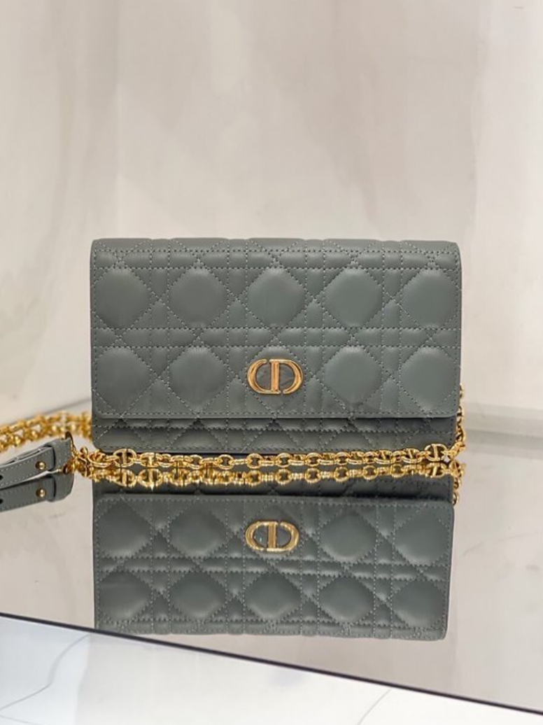 디올 카로 WOC 벨트 파우치