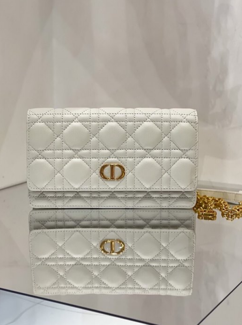 디올 카로 WOC 벨트 파우치