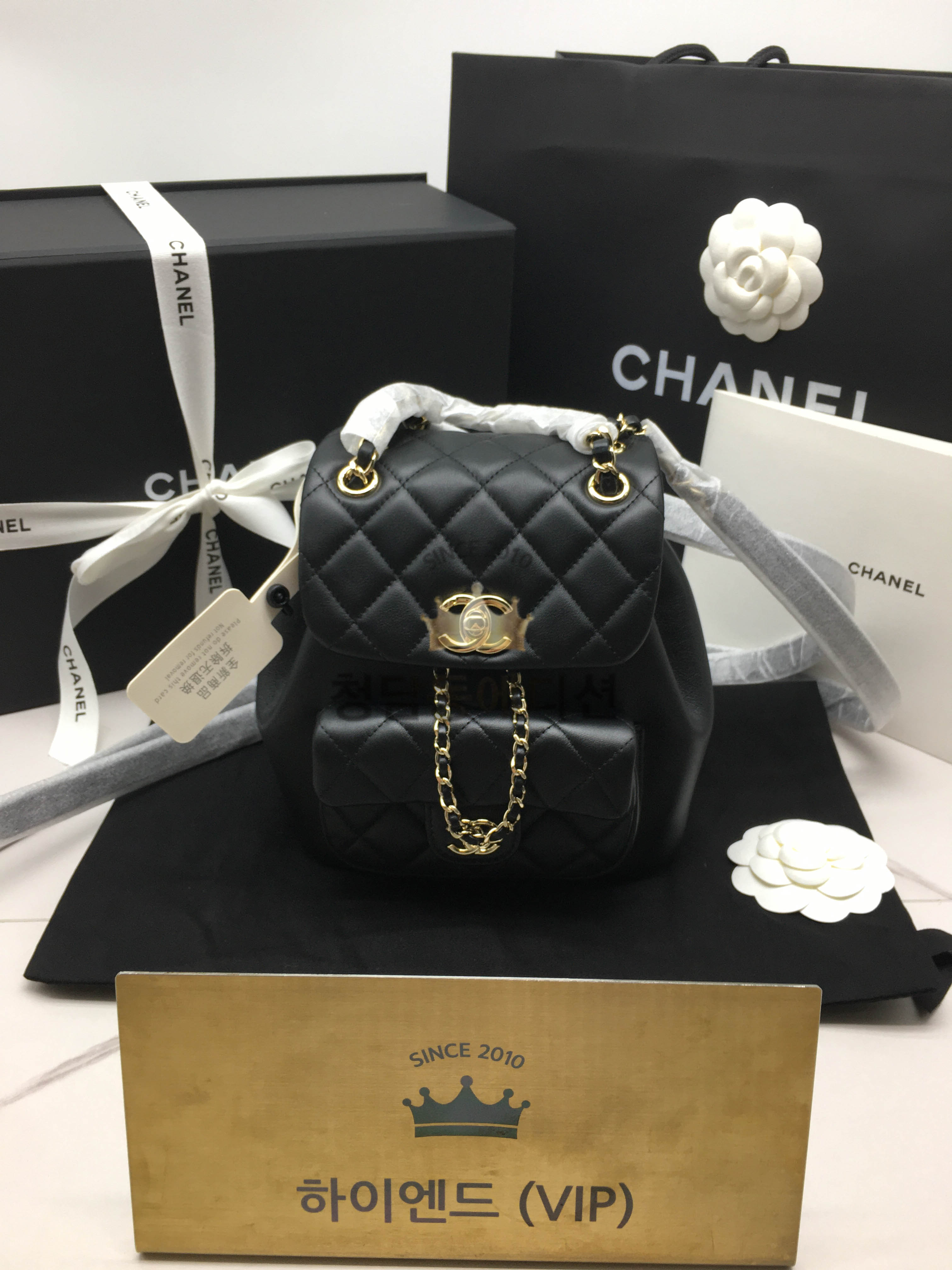 샤넬 22C 듀마 백팩 스몰 카프스킨 (하이엔드급)