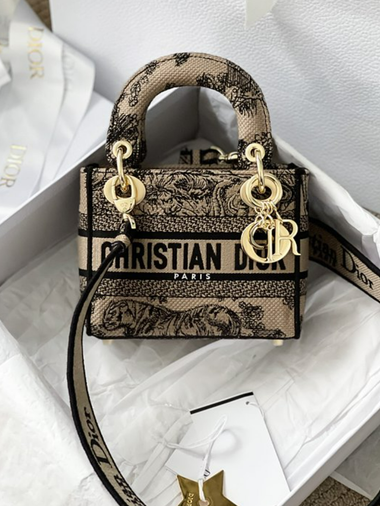 디올 레이디 D-Lite 미니 백