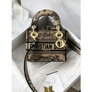 디올 레이디 D-Lite 미니 백