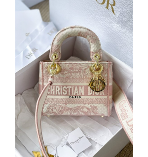 디올 레이디 D-Lite 미니 백