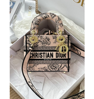 디올 레이디 D-Lite 미니 백