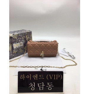 디올 레이디 탑 핸들 클러치 (컬러 핑크)