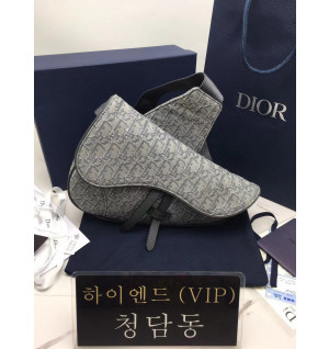 디올 오블리크 새들백 스몰